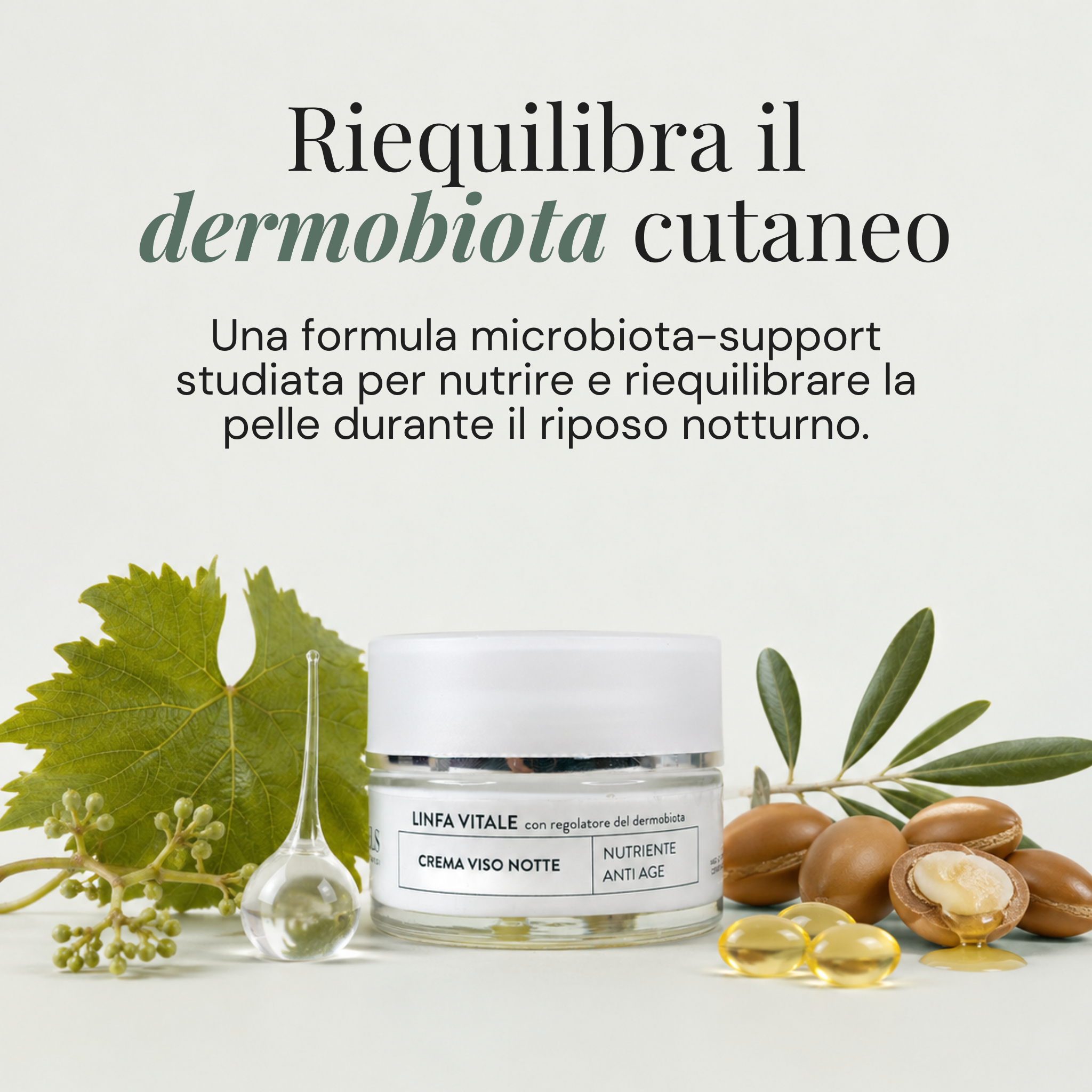 Crema Viso Notte Linfa Vitale Con Regolatore Del Dermobiota