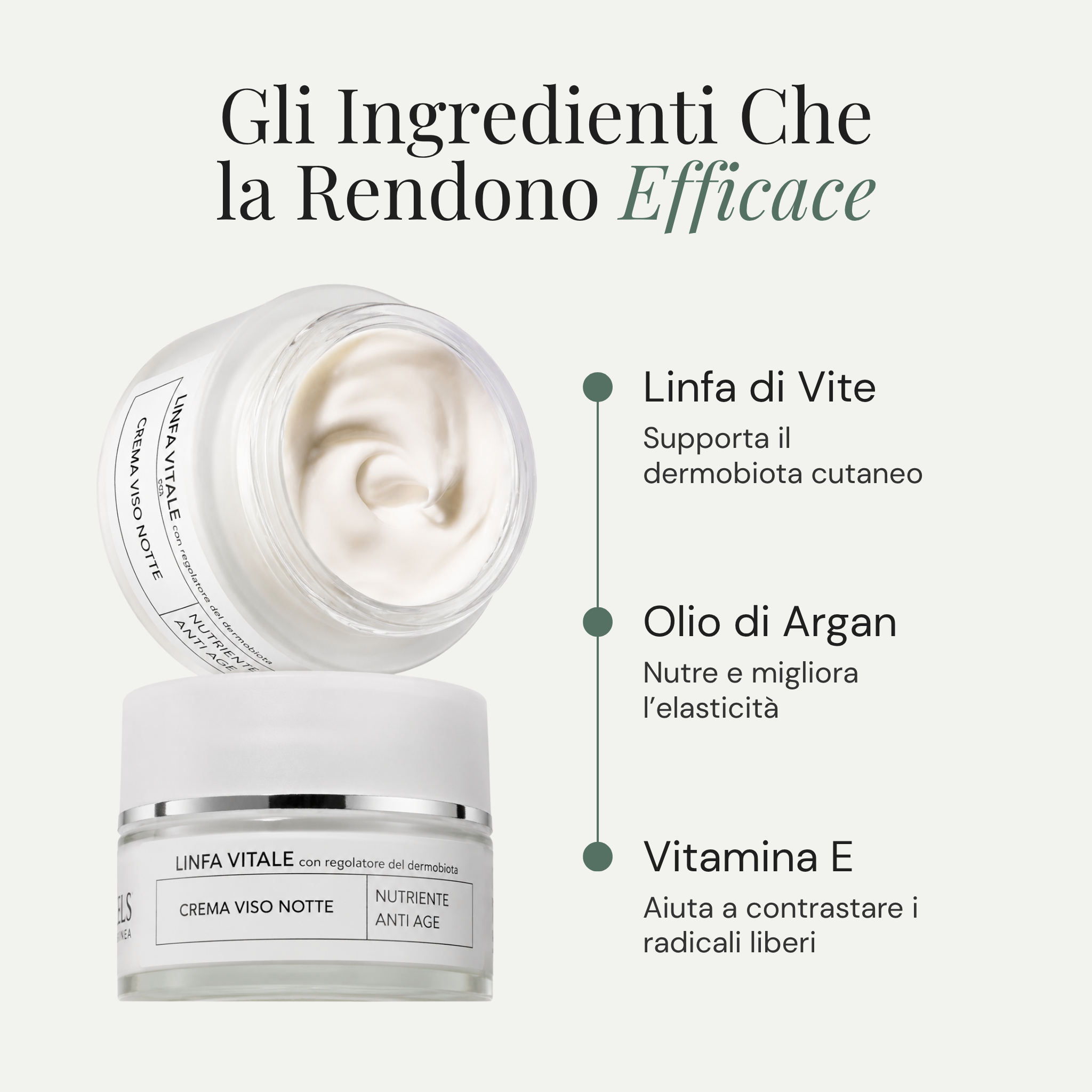 Crema Viso Notte Linfa Vitale Con Regolatore Del Dermobiota