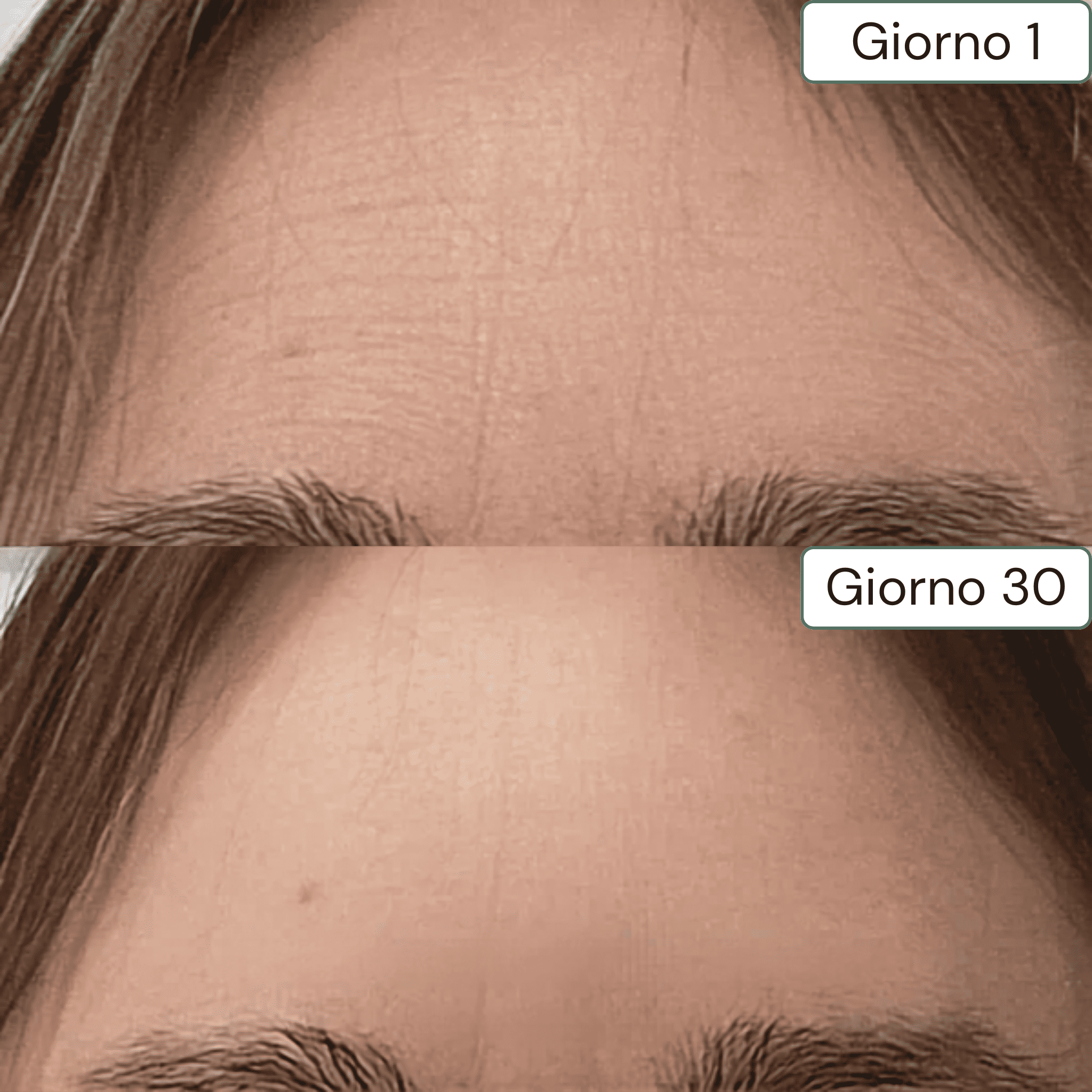 Crema Viso Syvèa 24h